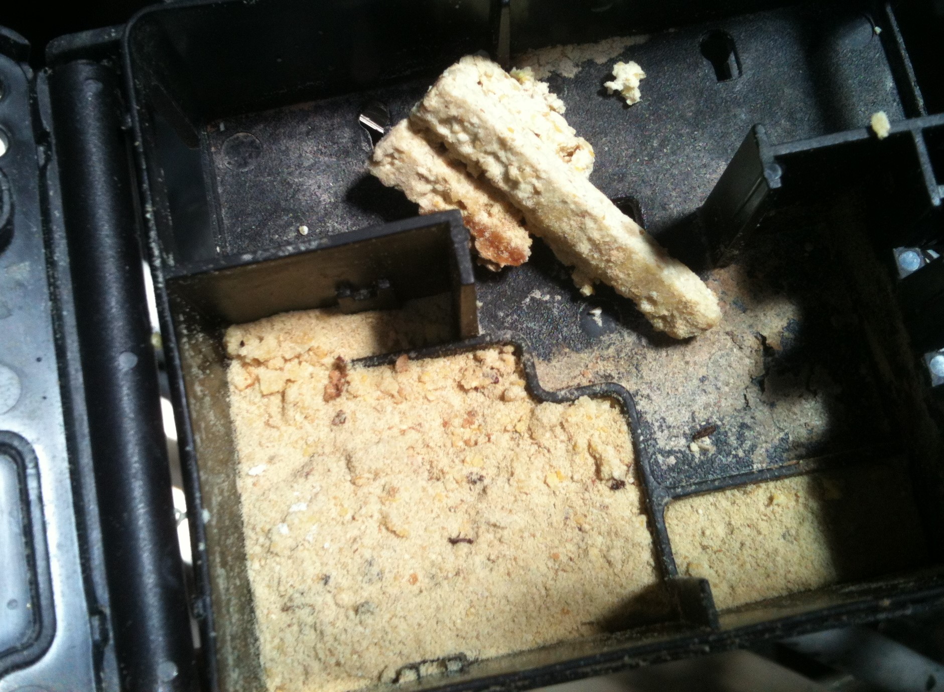 Nagerfallen – Museumsschädlinge - Prävention · Monitoring · Lösungen